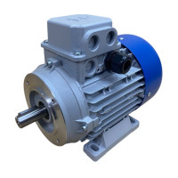 Трехфазные электродвигатели двухскоростные M.T. Motori Elettrici серии DN 132S 3.1/1.7 кВт 1440/710 об/мин В34 - лапы/фланец 380В